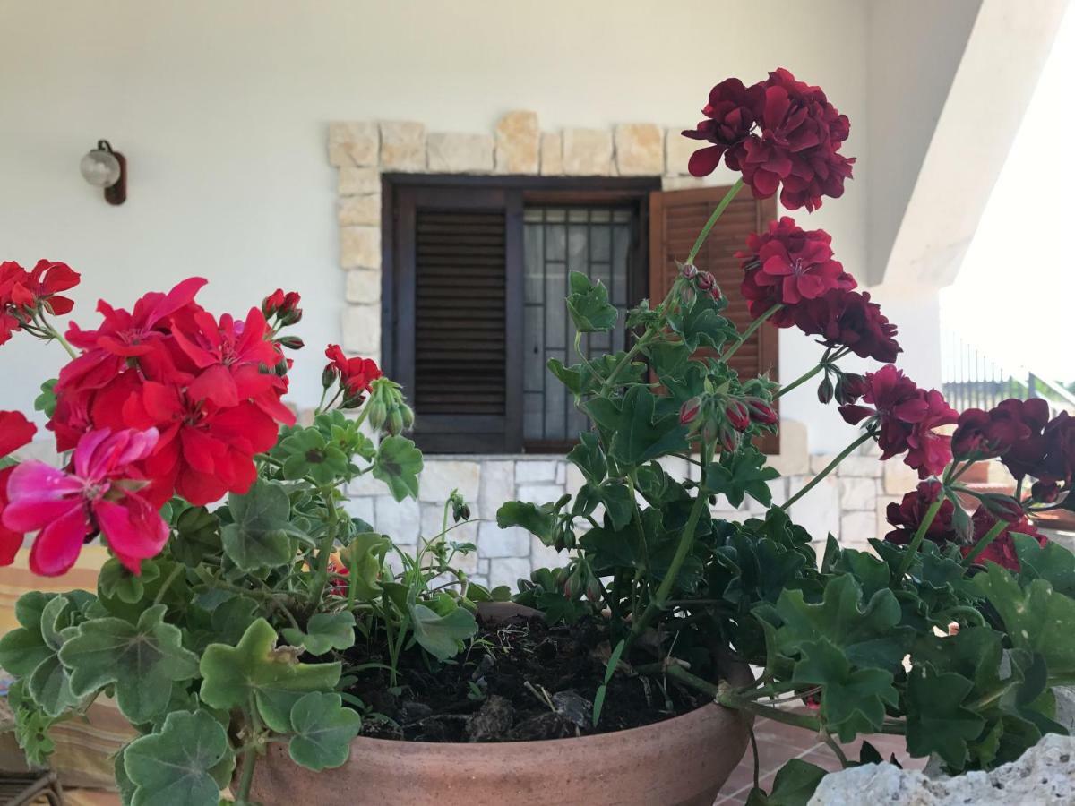 Villa Rosa - Ai Piedi Dell'Etna Brucoli Kültér fotó